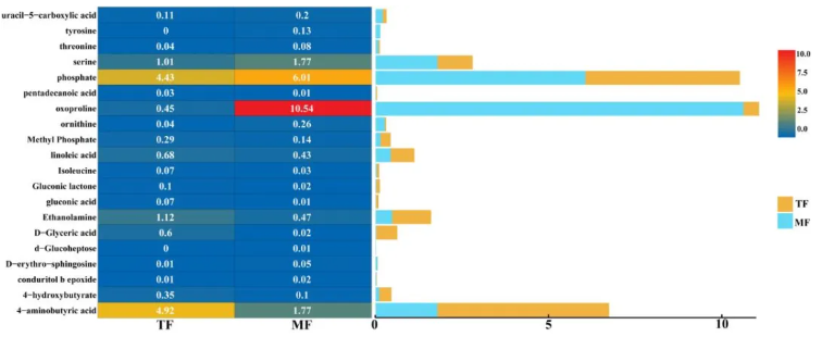 Food Chem.(IF=9.8)|吉林农大研究团队采用代谢组学分析结合DFT计算，解码黑木耳的栽培密码！(图2)