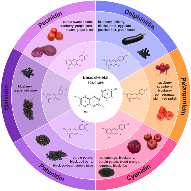 花青素高通量靶标(图1)