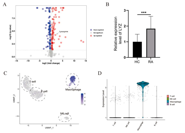 血液蛋白冠-DIA(图2)