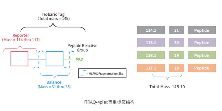iTRAQ/TMT标记定量蛋白质组研究(图1)