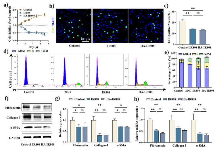 J.Nanobiotechnol. (IF=12.6)| 上海九院章一新教授团队：HA-IR808自组装纳米凝胶透皮靶向，调控糖酵解抑制瘢痕形成(图7)