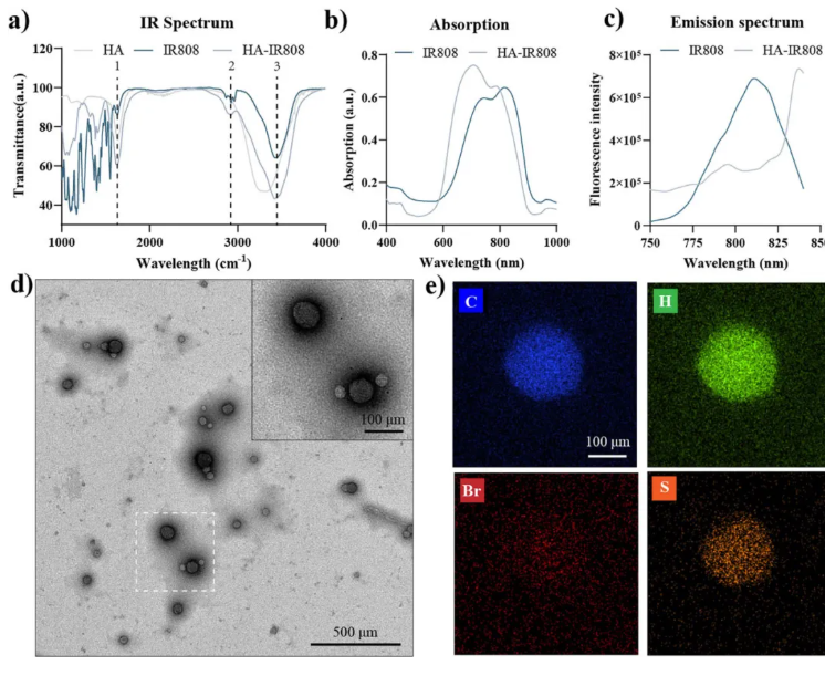 J.Nanobiotechnol. (IF=12.6)| 上海九院章一新教授团队：HA-IR808自组装纳米凝胶透皮靶向，调控糖酵解抑制瘢痕形成(图3)