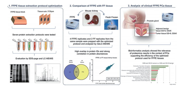 定性鉴定蛋白质组学(图2)