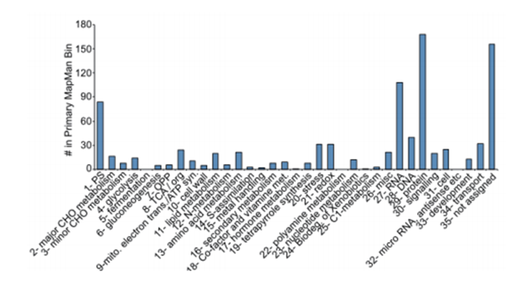 乙酰化修饰DIA定量蛋白质组学(图4)