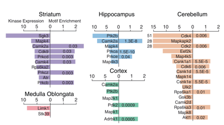 磷酸化修饰DIA定量蛋白质组学(图3)