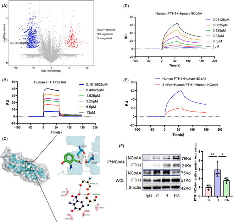 色氨酸代谢(图9)