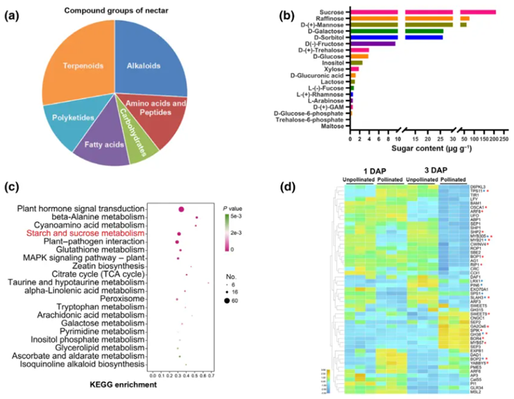 image (10101010).png