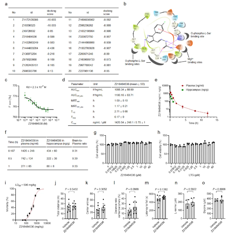 nat chem biol(IF=13.7)|中国医学科学院基础医学研究所许琪团队：抑制PSPH可降低丝氨酸水平并减少癫痫发作(图12)