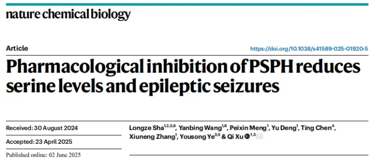 nat chem biol(IF=13.7)|中国医学科学院基础医学研究所许琪团队：抑制PSPH可降低丝氨酸水平并减少癫痫发作(图1)