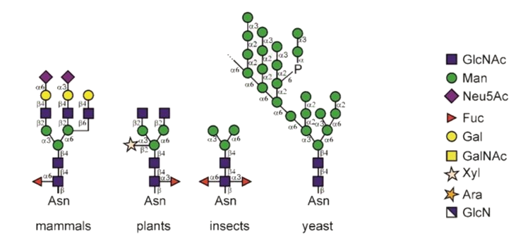 糖基化修饰DIA定量蛋白质组学(图3)
