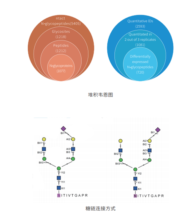 糖基化修饰DIA定量蛋白质组学(图5) 糖基化修饰DIA定量蛋白质组学(图5)