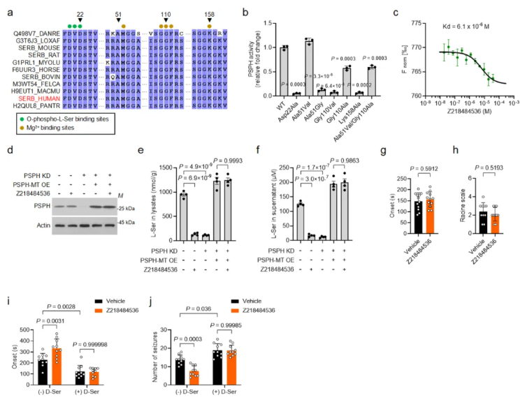 nat chem biol(IF=13.7)|中国医学科学院基础医学研究所许琪团队：抑制PSPH可降低丝氨酸水平并减少癫痫发作(图13)