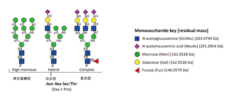 糖基化修饰DIA定量蛋白质组学(图2)