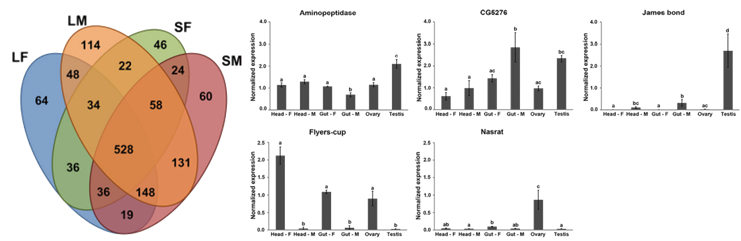 糖基化修饰DIA定量蛋白质组学(图6) 糖基化修饰DIA定量蛋白质组学(图6)