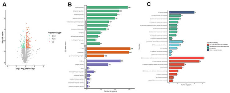 4D-Label free非标记定量蛋白质组研究(图2)