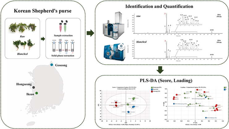 image (4422).png image (4422).png