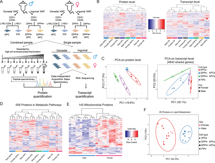 DIA微量蛋白质组(图2)