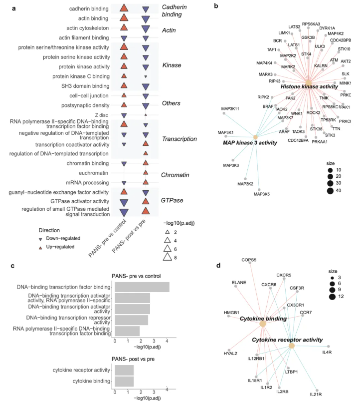 Neurotherapeutics(IF=6.9)|悉尼大学研究团队重磅突破!大麻提取物NTI164为PANS患儿带来新希望,逆转免疫与表观遗传紊乱(图7) Neurotherapeutics(IF=6.9)|悉尼大学研究团队重磅突破!大麻提取物NTI164为PANS患儿带来新希望,逆转免疫与表观遗传紊乱(图7)