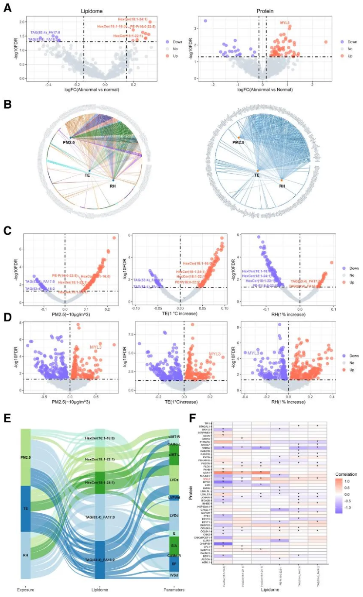EHJ(IF=35.6)|重医附属儿童医院梁小华教授团队:环境暴露正在“重塑”中国儿童的心脏!(图8) EHJ(IF=35.6)|重医附属儿童医院梁小华教授团队:环境暴露正在“重塑”中国儿童的心脏!(图8)