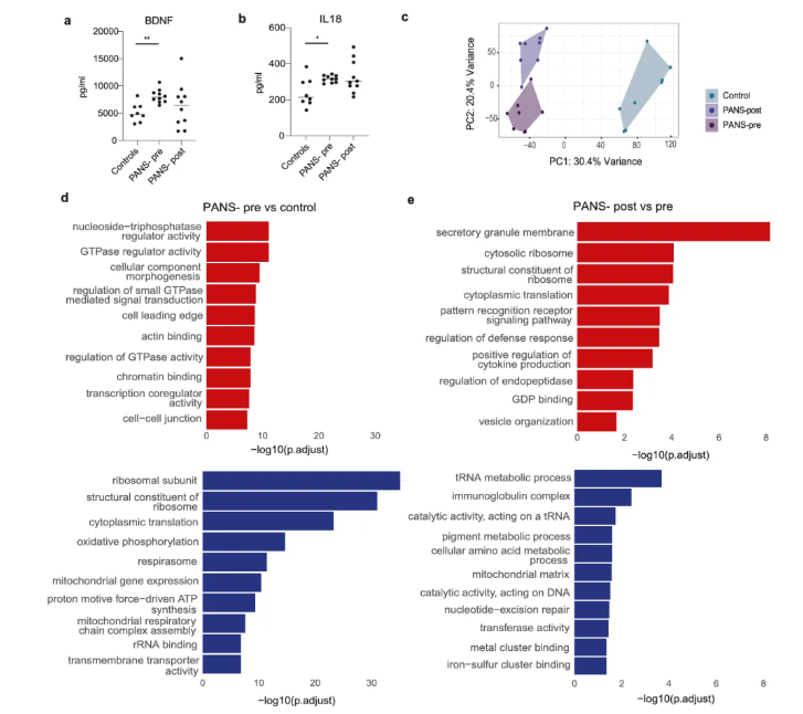 Neurotherapeutics(IF=6.9)|悉尼大学研究团队重磅突破!大麻提取物NTI164为PANS患儿带来新希望,逆转免疫与表观遗传紊乱(图4) Neurotherapeutics(IF=6.9)|悉尼大学研究团队重磅突破!大麻提取物NTI164为PANS患儿带来新希望,逆转免疫与表观遗传紊乱(图4)