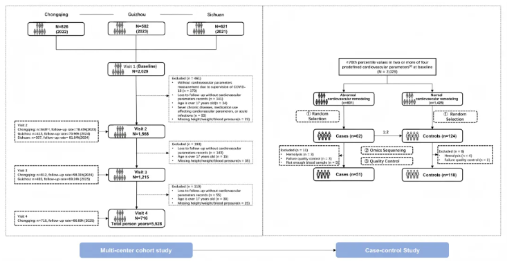EHJ(IF=35.6)|重医附属儿童医院梁小华教授团队:环境暴露正在“重塑”中国儿童的心脏!(图3) EHJ(IF=35.6)|重医附属儿童医院梁小华教授团队:环境暴露正在“重塑”中国儿童的心脏!(图3)