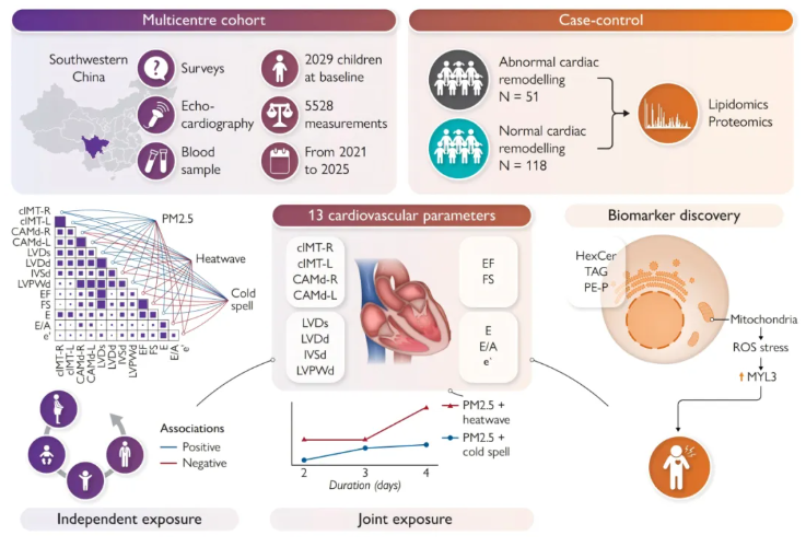 EHJ(IF=35.6)|重医附属儿童医院梁小华教授团队:环境暴露正在“重塑”中国儿童的心脏!(图2) EHJ(IF=35.6)|重医附属儿童医院梁小华教授团队:环境暴露正在“重塑”中国儿童的心脏!(图2)