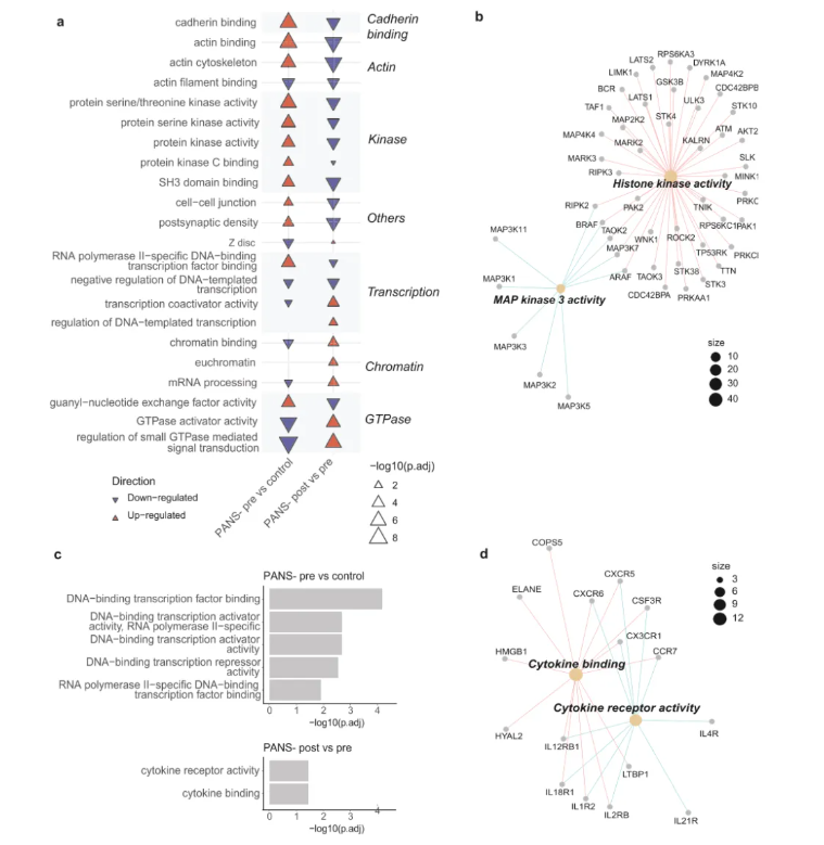 Neurotherapeutics(IF=6.9)|悉尼大学研究团队重磅突破!大麻提取物NTI164为PANS患儿带来新希望,逆转免疫与表观遗传紊乱(图6) Neurotherapeutics(IF=6.9)|悉尼大学研究团队重磅突破!大麻提取物NTI164为PANS患儿带来新希望,逆转免疫与表观遗传紊乱(图6)