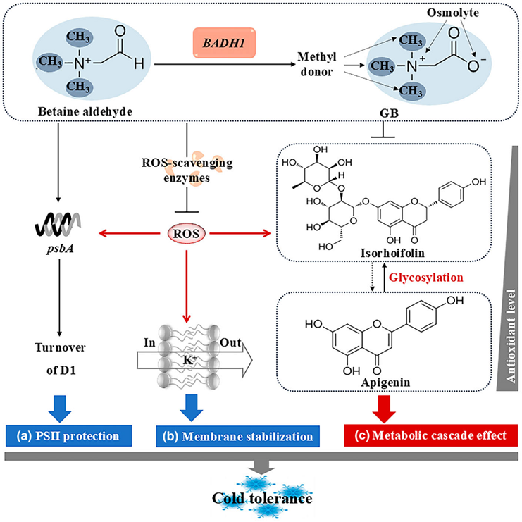 image (212211).png image (212211).png