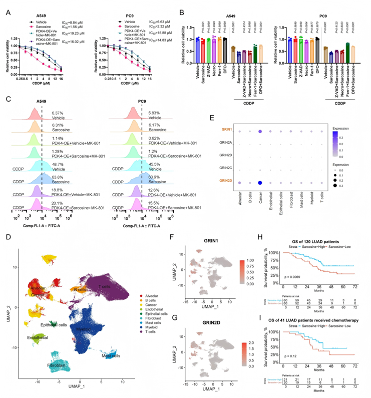 非靶标代谢流(图8) 非靶标代谢流(图8)