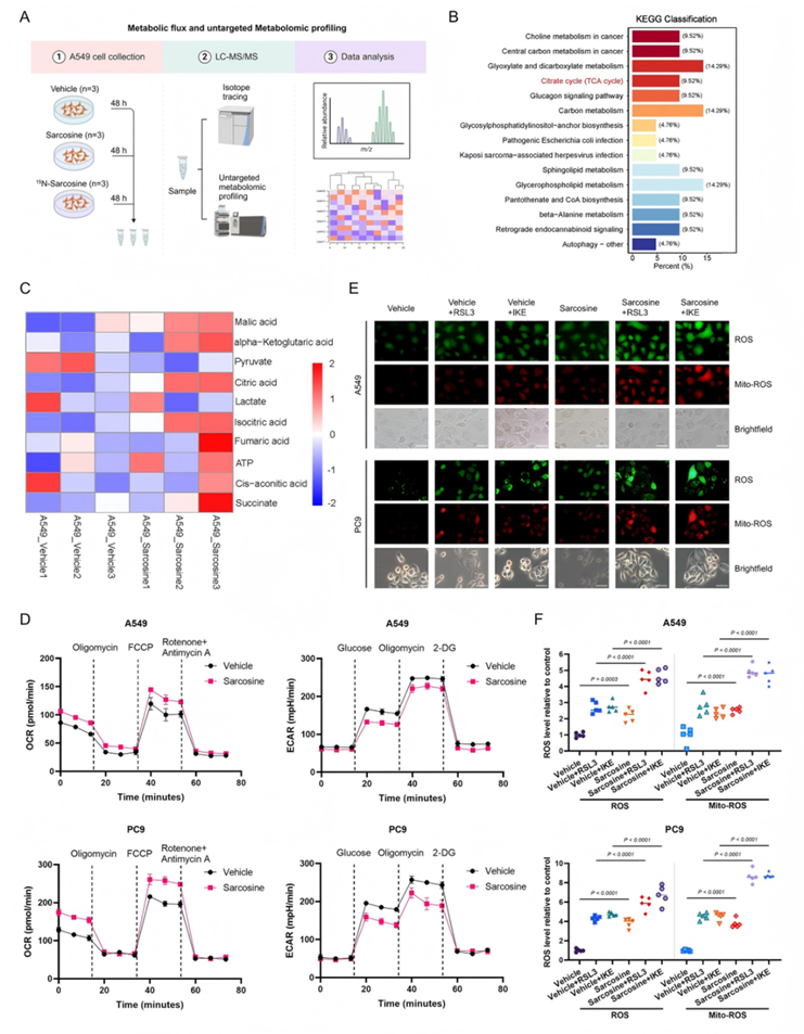 非靶标代谢流(图4) 非靶标代谢流(图4)