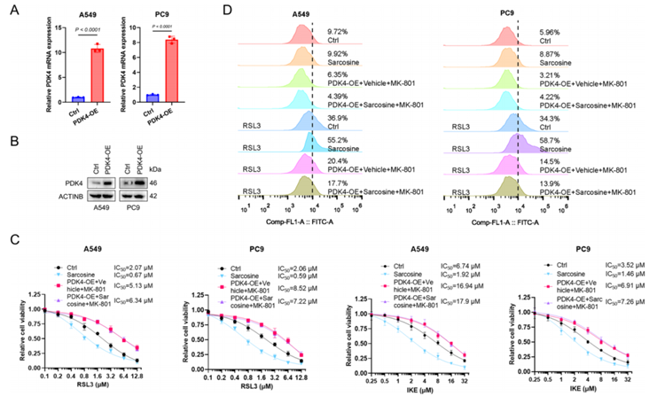 非靶标代谢流(图7) 非靶标代谢流(图7)