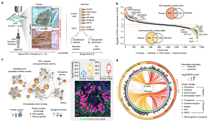 空间蛋白质组学(图2)