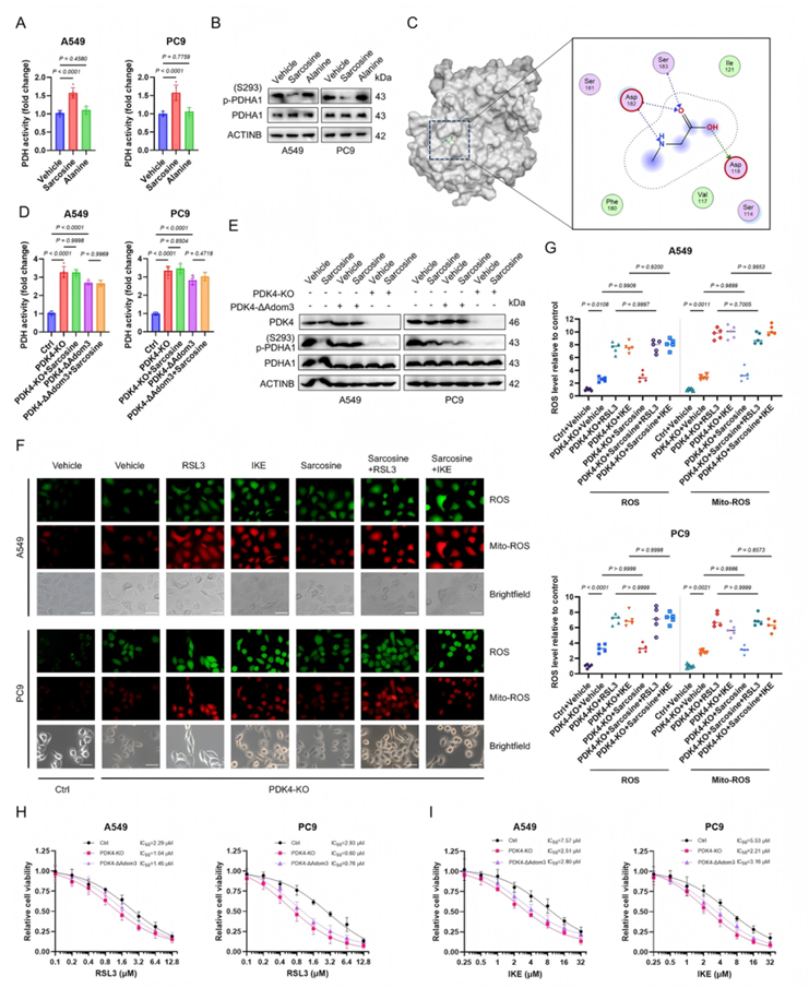 非靶标代谢流(图5) 非靶标代谢流(图5)