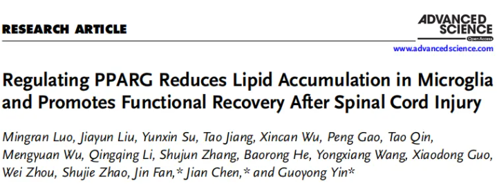 Adv.Sci.(IF=14.1)|江苏省人民医院殷国勇教授团队：调控PPARG减少小胶质细胞脂质蓄积助力脊髓损伤功能修复(图1)