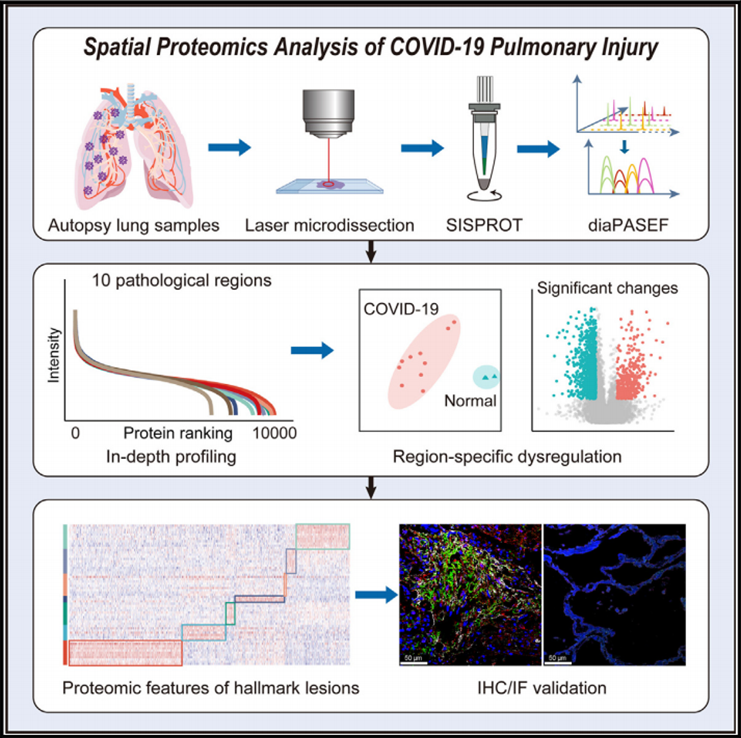 空间蛋白质组学(图3)