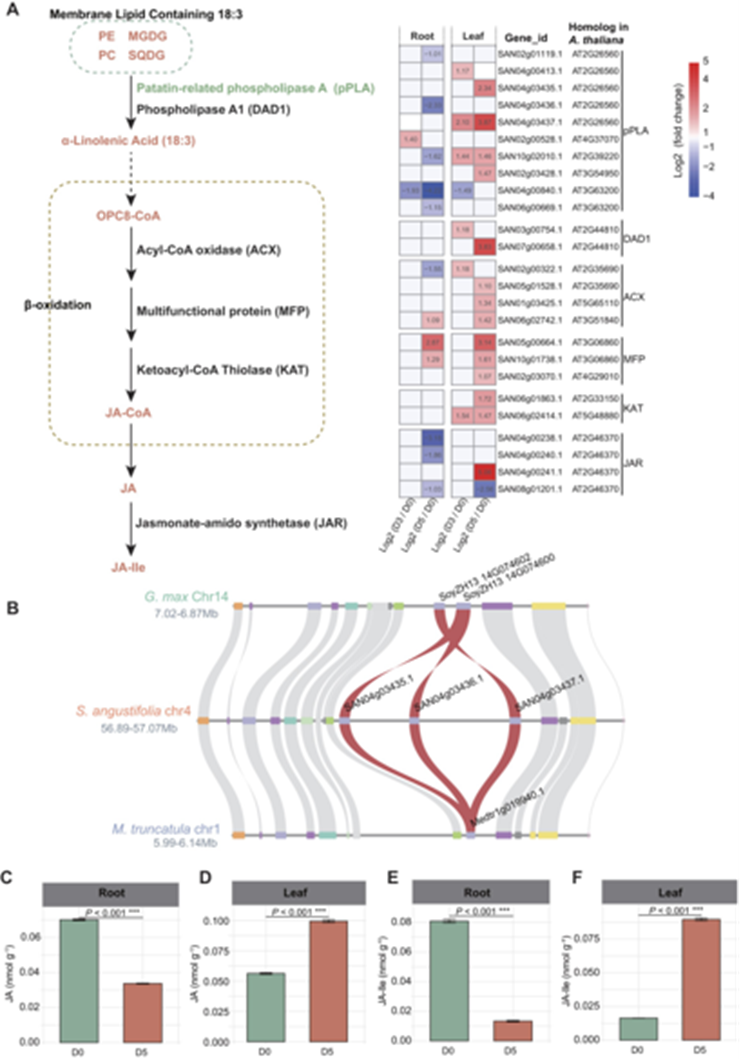 精准植物激素(图2)