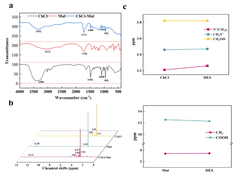 Chem.Eng.J.(IF=13.2)|浙江农林大学团队创新DES提取技术，赋能传统药材菜头肾(图4)