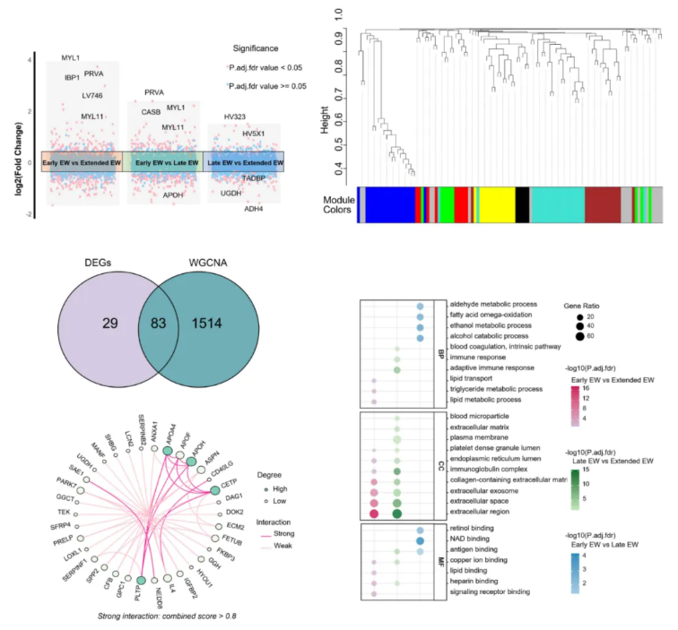 nature子刊(IF=15.7)|重医儿童医院梁小华老师团队再发文!多组学揭秘儿童进餐时间与心血管健康的深层关联(图4)