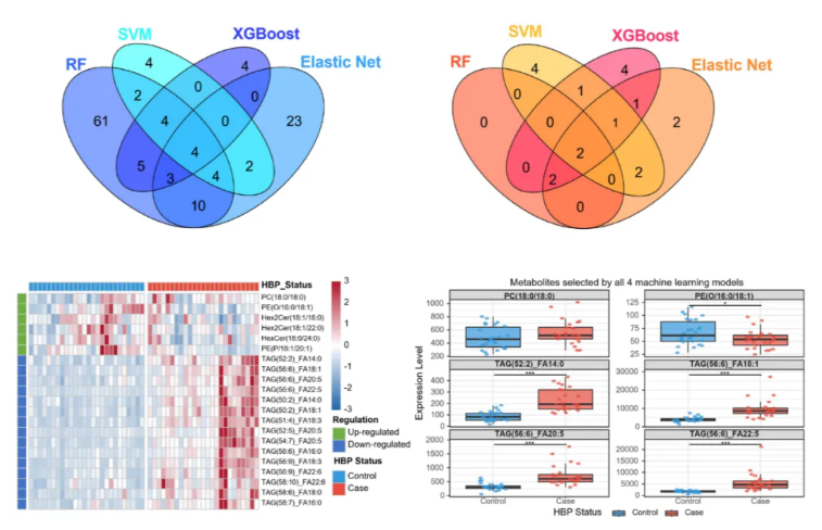 nature子刊(IF=15.7)|重医儿童医院梁小华老师团队再发文!多组学揭秘儿童进餐时间与心血管健康的深层关联(图6)
