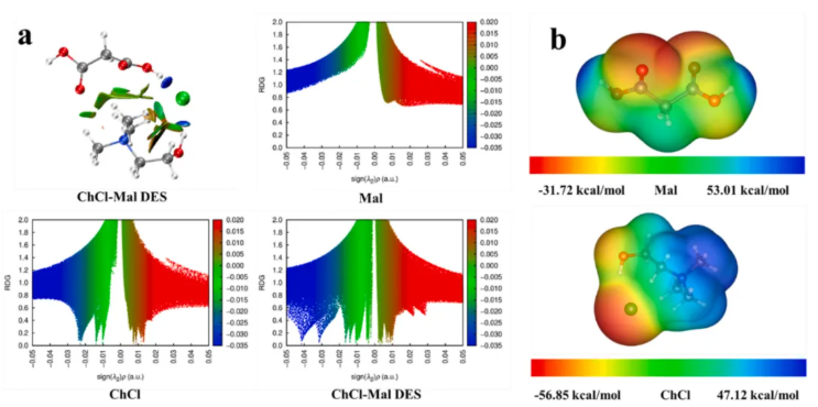 Chem.Eng.J.(IF=13.2)|浙江农林大学团队创新DES提取技术，赋能传统药材菜头肾(图5)