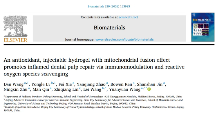 Biomaterials(IF=12.9)|北大口腔王媛媛老师团队破解牙髓修复难题，双效智能水凝胶实现“代谢重编程”促愈合(图1)
