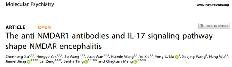 Mol. Psychiatry(IF=10.1)|南华附一蒙庆团教授团队：抗NMDAR1抗体与IL-17信号通路共塑NMDAR型脑炎病理进程(图1)