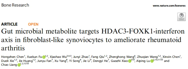 Bone Research(IF=15)|南方科技大学梁超团队：肠道微生物代谢物靶向HDAC3-FOXK1-干扰素轴，改善类风湿关节炎(图1)