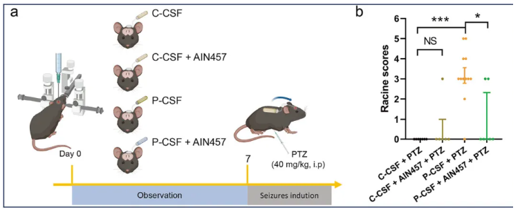 Mol. Psychiatry(IF=10.1)|南华附一蒙庆团教授团队：抗NMDAR1抗体与IL-17信号通路共塑NMDAR型脑炎病理进程(图8)
