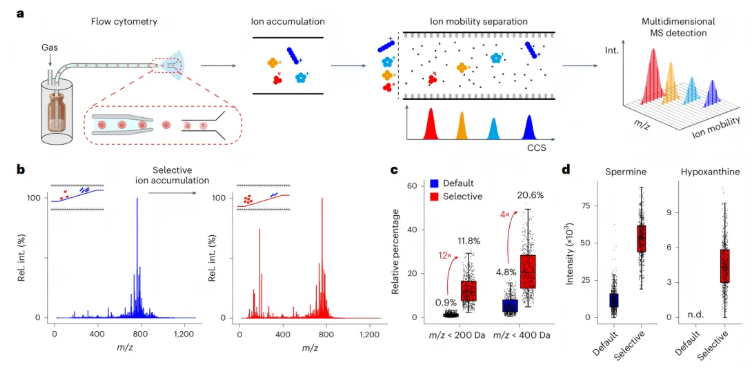 nature methods (IF=32.1)|朱正江研究员团队引领代谢组学技术正式进入单细胞时代(图2)