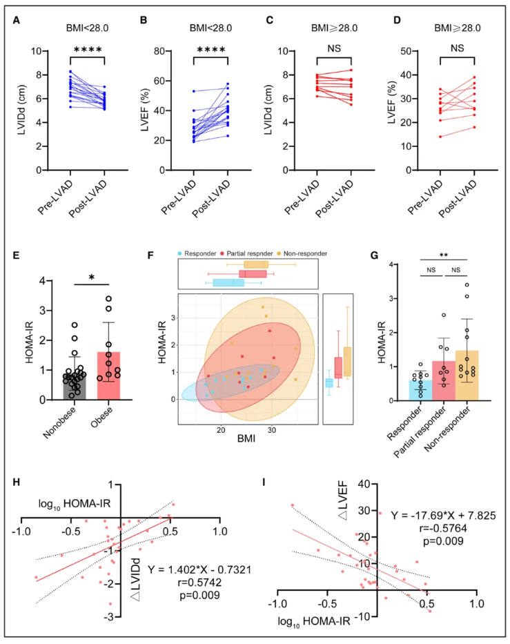 Circulation(IF=38.7)|上海儿童医学中心张浩/刘一为联合南京鼓楼医院王东进团队破解肥胖心衰LVAD疗效困局,胰岛素增敏剂助力心肌恢复!(图3) Circulation(IF=38.7)|上海儿童医学中心张浩/刘一为联合南京鼓楼医院王东进团队破解肥胖心衰LVAD疗效困局,胰岛素增敏剂助力心肌恢复!(图3)