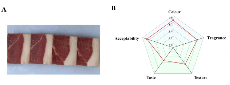 Foods (IF=5.1)|云南农业大学研究团队：滇南小耳猪火腿特征风味形成机制的多组学解析(图1)