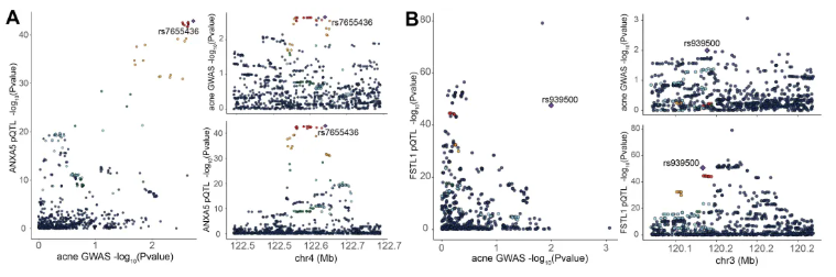 Front. Immunol.(IF=5.9)|中南大学湘雅医学院研究团队:解析痤疮的血浆蛋白-遗传因果关联,为靶向治疗提供新方向(图7) Front. Immunol.(IF=5.9)|中南大学湘雅医学院研究团队:解析痤疮的血浆蛋白-遗传因果关联,为靶向治疗提供新方向(图7)