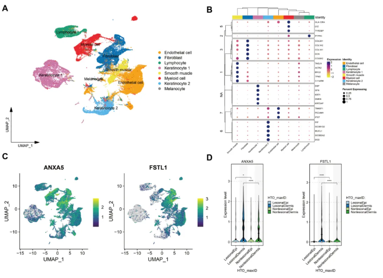Front. Immunol.(IF=5.9)|中南大学湘雅医学院研究团队:解析痤疮的血浆蛋白-遗传因果关联,为靶向治疗提供新方向(图9) Front. Immunol.(IF=5.9)|中南大学湘雅医学院研究团队:解析痤疮的血浆蛋白-遗传因果关联,为靶向治疗提供新方向(图9)