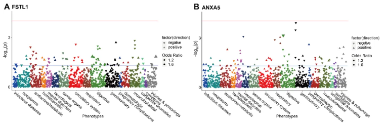 Front. Immunol.(IF=5.9)|中南大学湘雅医学院研究团队:解析痤疮的血浆蛋白-遗传因果关联,为靶向治疗提供新方向(图8) Front. Immunol.(IF=5.9)|中南大学湘雅医学院研究团队:解析痤疮的血浆蛋白-遗传因果关联,为靶向治疗提供新方向(图8)